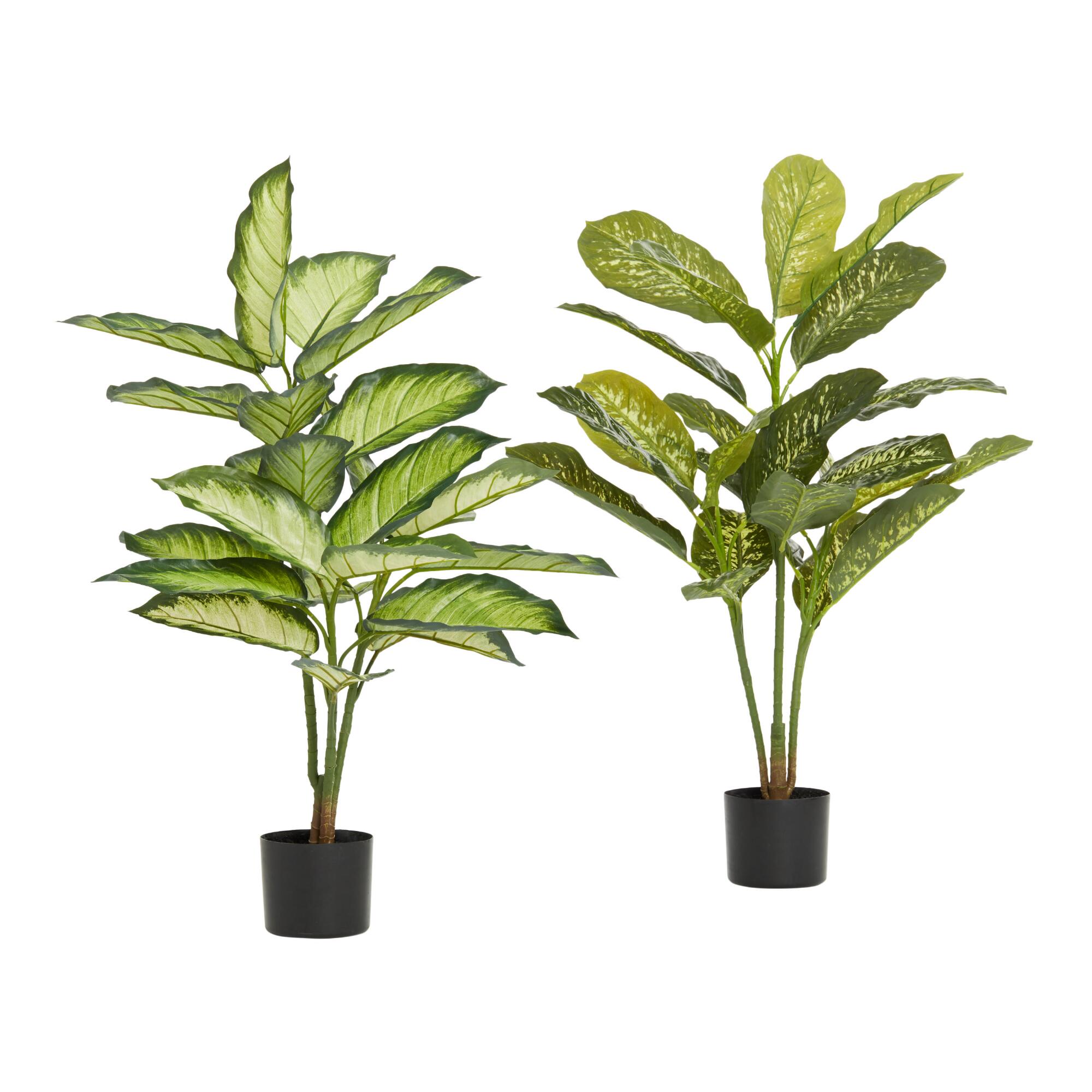 Faux Dieffenbachia Plants Set of 2 by World Market