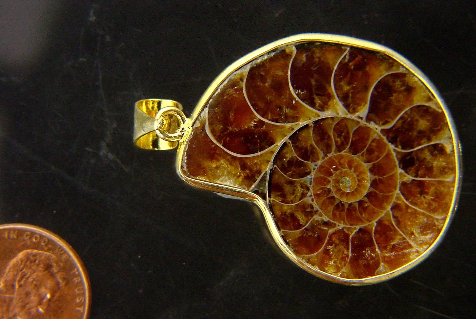 Gold Plated Ammonite Nautiloid Fossil Pendant Necklace Jewelry With 24 Gp Chain 7257P