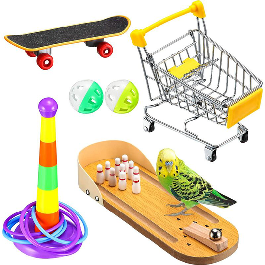 Buy 6 Pieces Bird Training Toy Set Include Wooden Mini Desktop Bowling Shopping Cart Skateboard Intelligence Training Rings Toy Bell Balls for Parrots Online