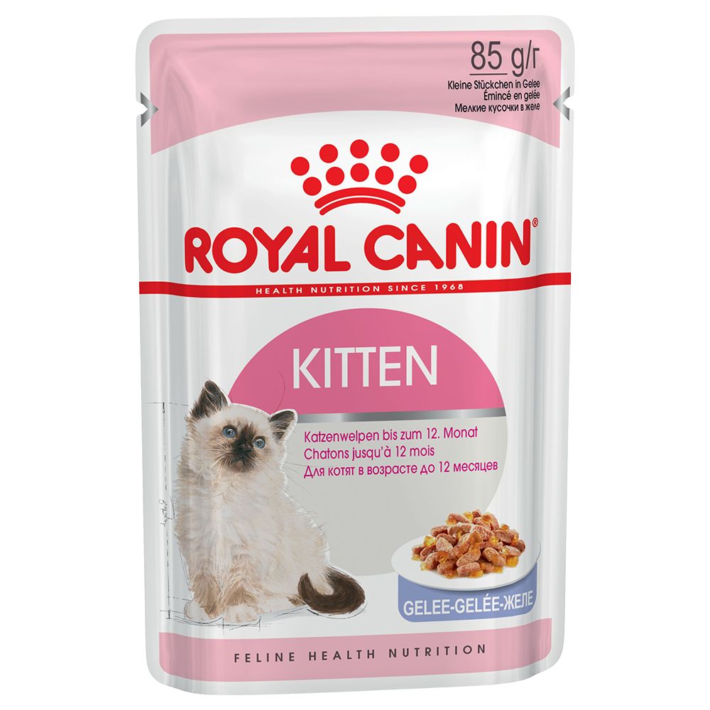 Royal Canin Kitten in Jelly - Saver Pack: 48 x 85g