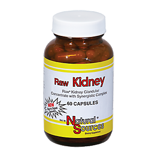 Raw Kidney Glandular - Concentrate with Synergistic Complex (60 Capsules)