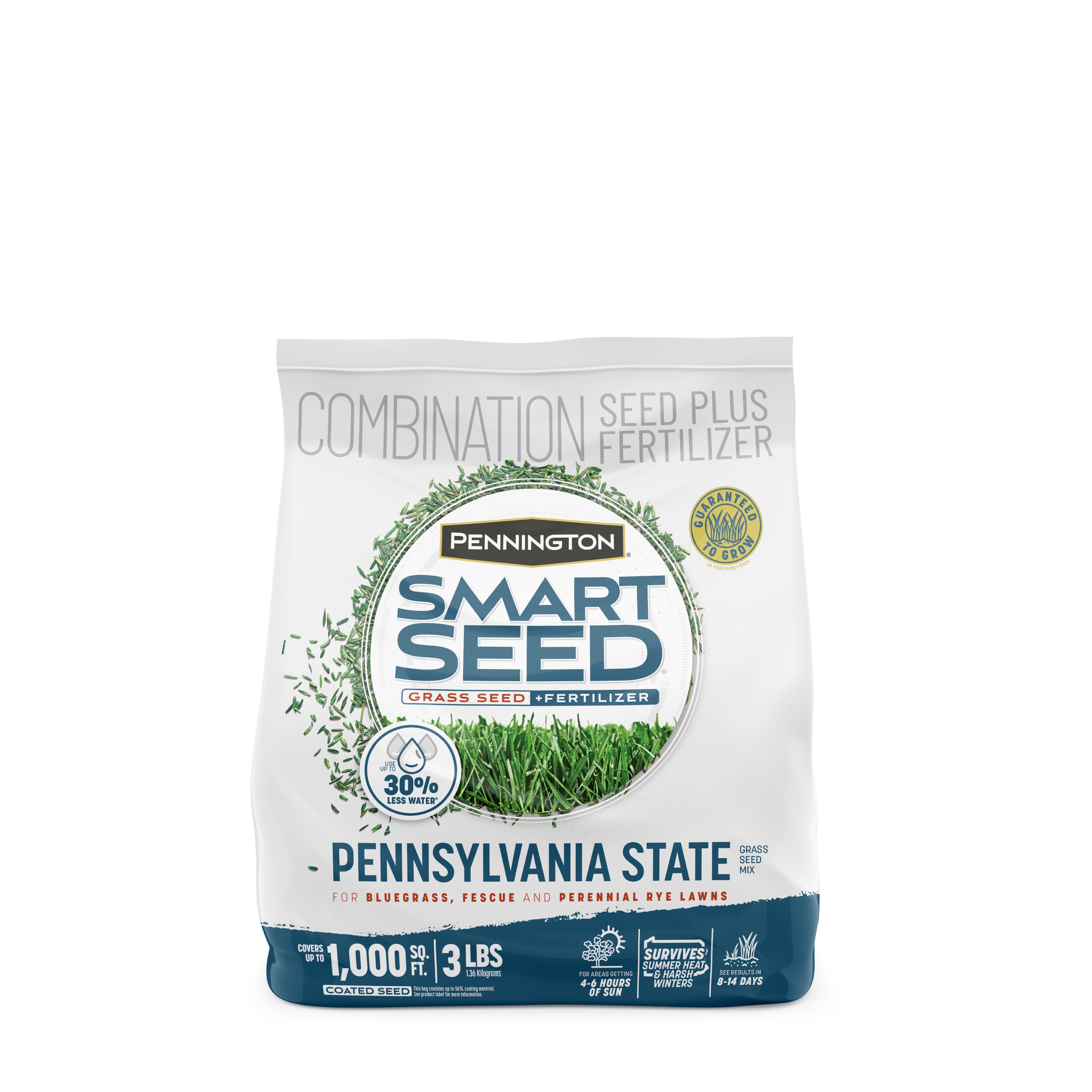 Pennington Smart Seed Penn State 3-lb Mixture/Blend Grass Seed | 2149602273