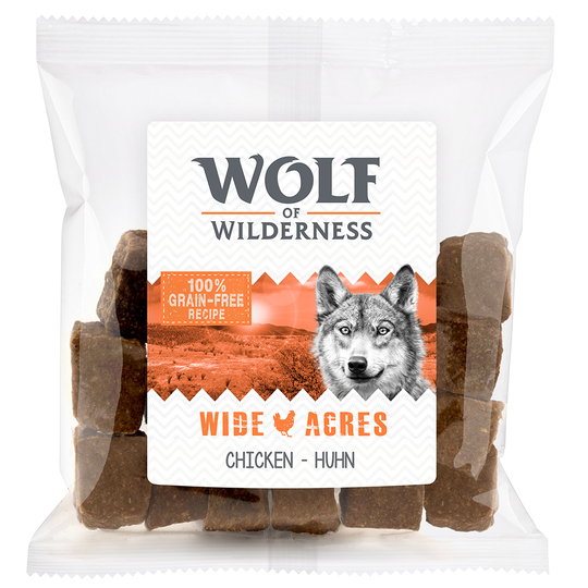 Wolf of outlet wilderness wild bites