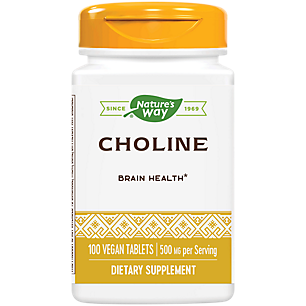 Choline - Brain Health - 500 MG (100 Vegan Tablets)