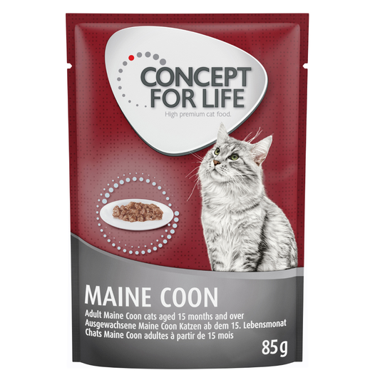 Osta Concept for Life Maine Coon Adult Ragout - 24 x 85 g netistä