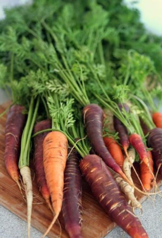 Heirloom Rainbow Blend Carrot Seeds Vegetable Garden Organic Seed Non Gmo