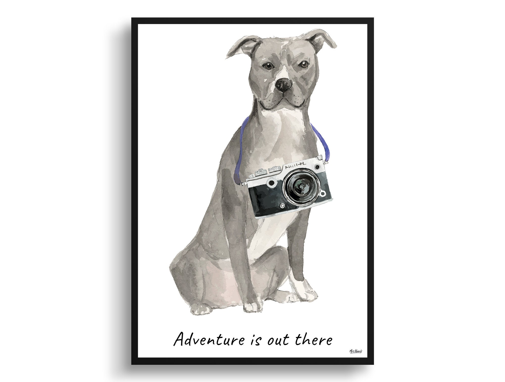 Adventure Is Out There Grey American Staffordshire Terrier Dog Print Illustration. Framed & Un-Framed Wall Art Options. Personalised Name