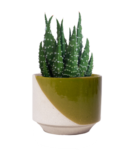 Buy Green Java Plant Pot online | Technium.co.uk