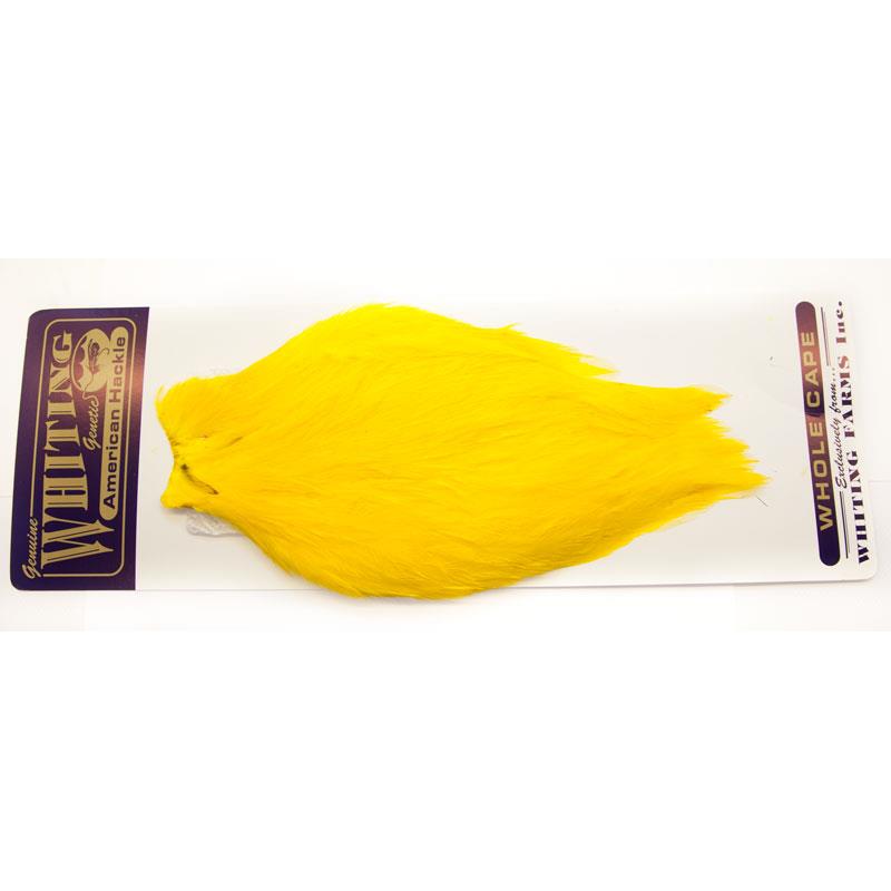 Whiting American Rooster Cape Yellow