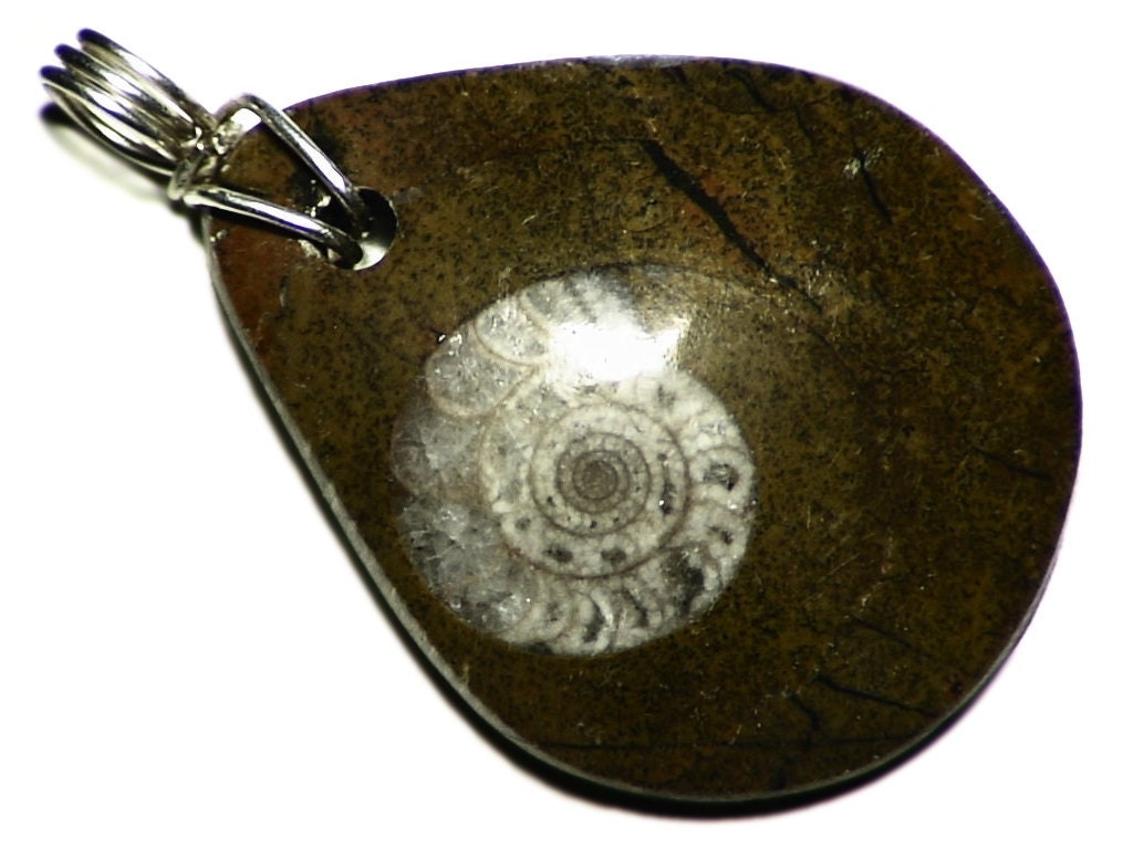 Ammonite Fossil Necklace, Real in Matrix Pendant, Sterling Silver Wire Wrap, Jewelry, Mens Teardrop