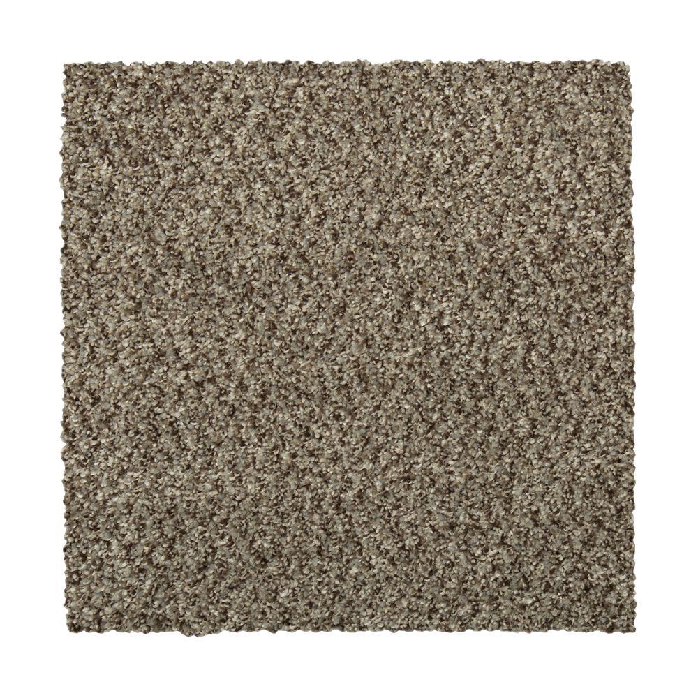 STAINMASTER Vibrant Blend I SEQUOIA Carpet Sample Polyester in Brown | STP32-L009-0808
