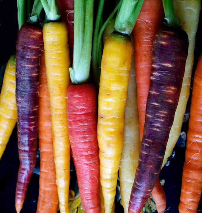 Carrot Seeds - Heirloom Rainbow Blend Organic