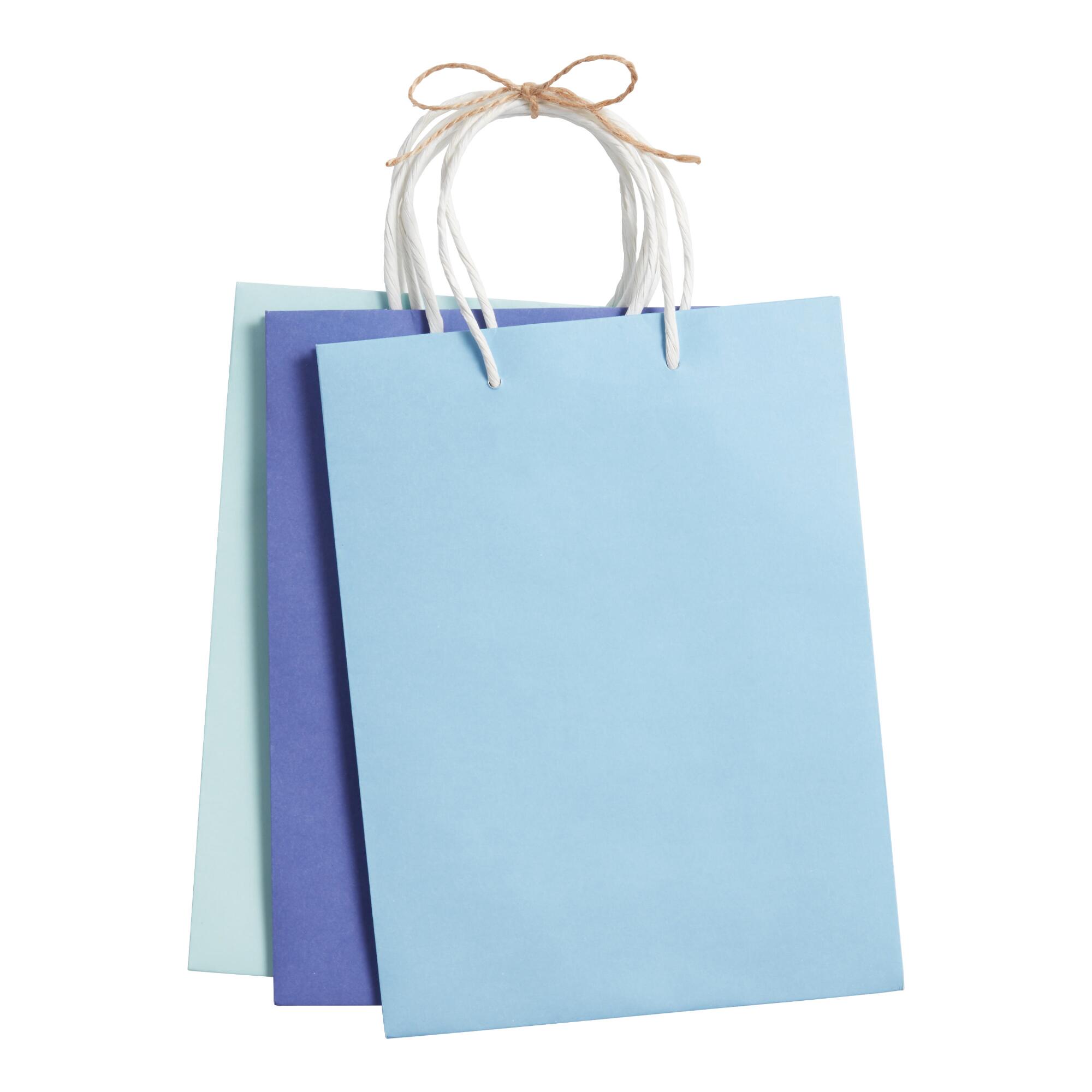3 Pack Medium Meri Meri Blue Kraft Paper Gift Bags Set Of 2: Multi by World Market
