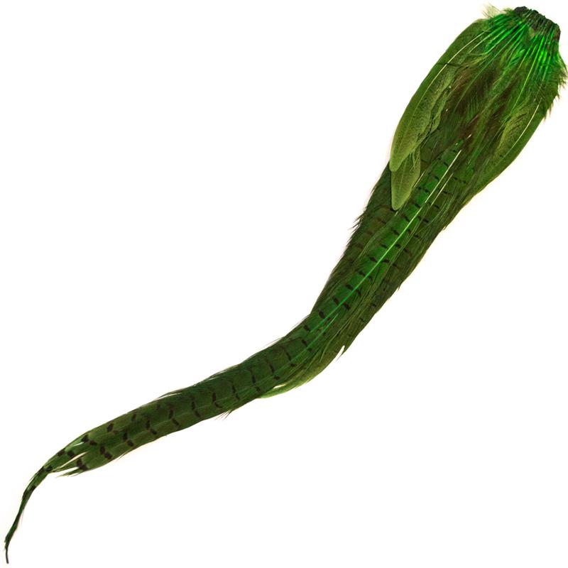 Cock Pheasant Complete Tails Dyed Green Fasan halefjær komplett fra Veniard