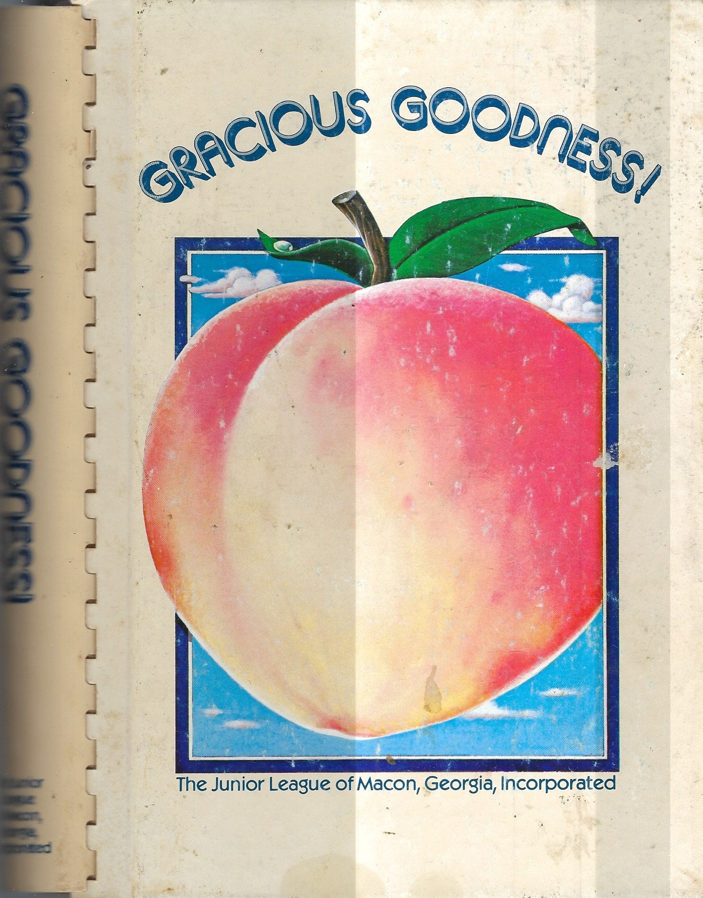 Macon Georgia Vintage 1982 Junior League Gracious Goodness Cookbook Ga Community Favorite Recipes Collectible Souvenir Rare Local