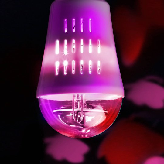 E27 4W LED koristelamppu "Perhoset" 360°