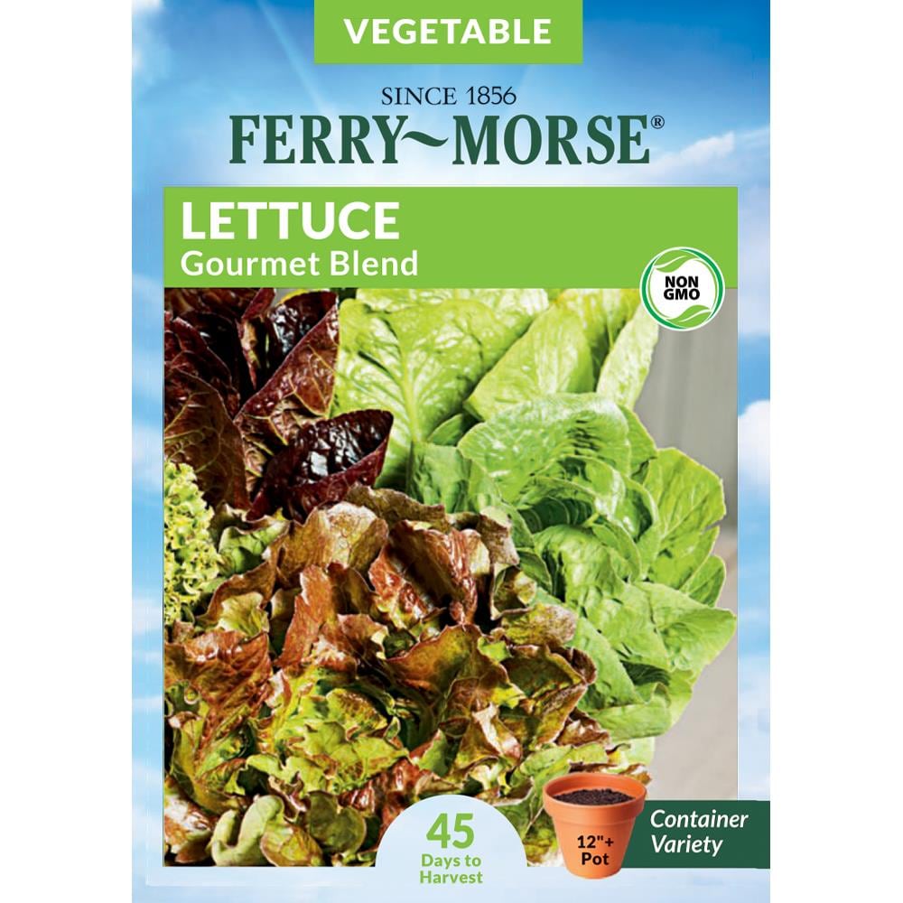 Ferry-Morse 1.2 Gram(s) Lettuce Gourmet Blend Vegetable (Seed Packet) | 468424.178.906803