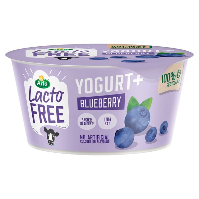 Lactofree Blueberry Yogurt
