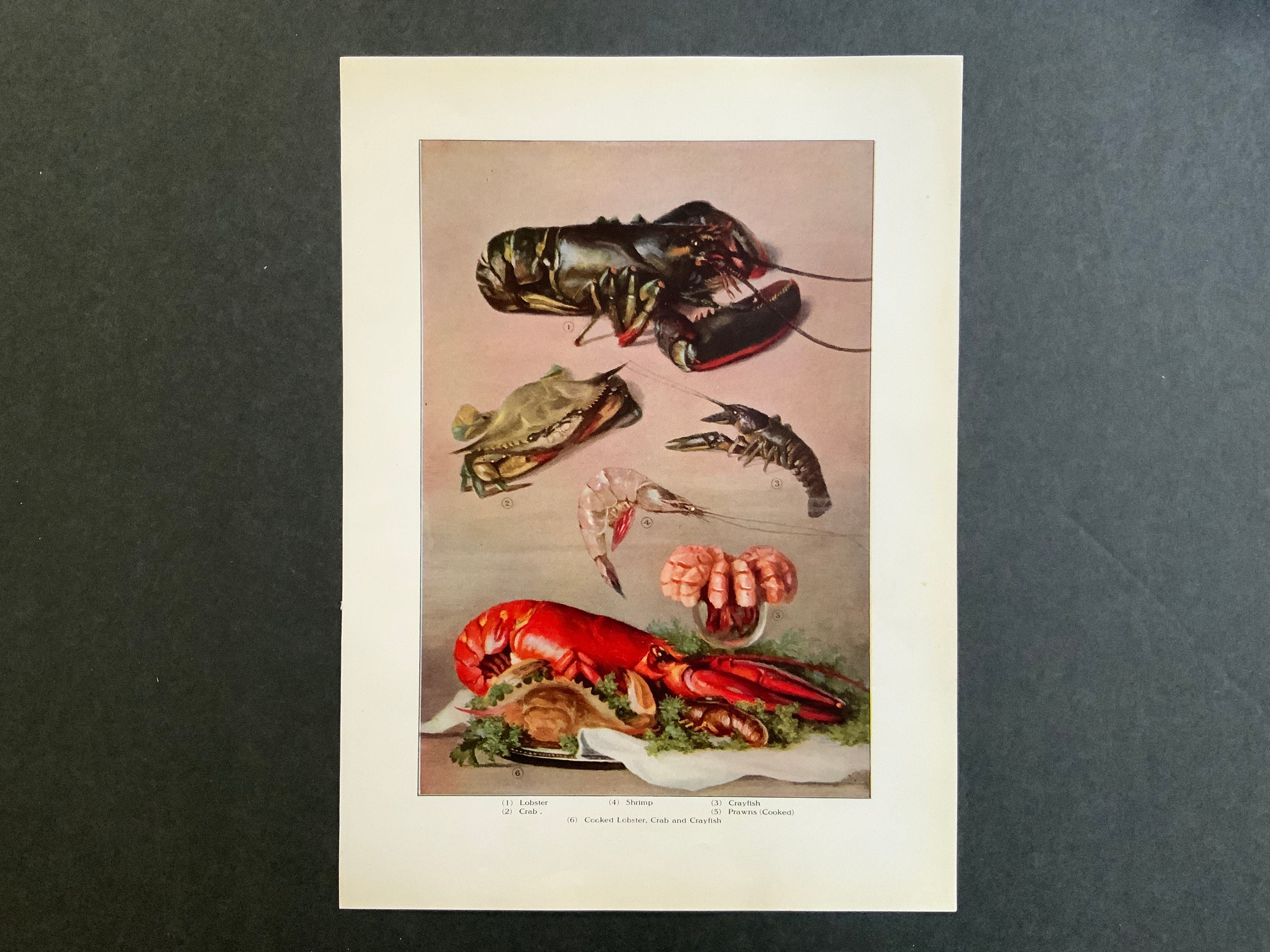 C. 1911 Seafood Print - Original Antique Food Lithograph Lobster Crab Shrimp