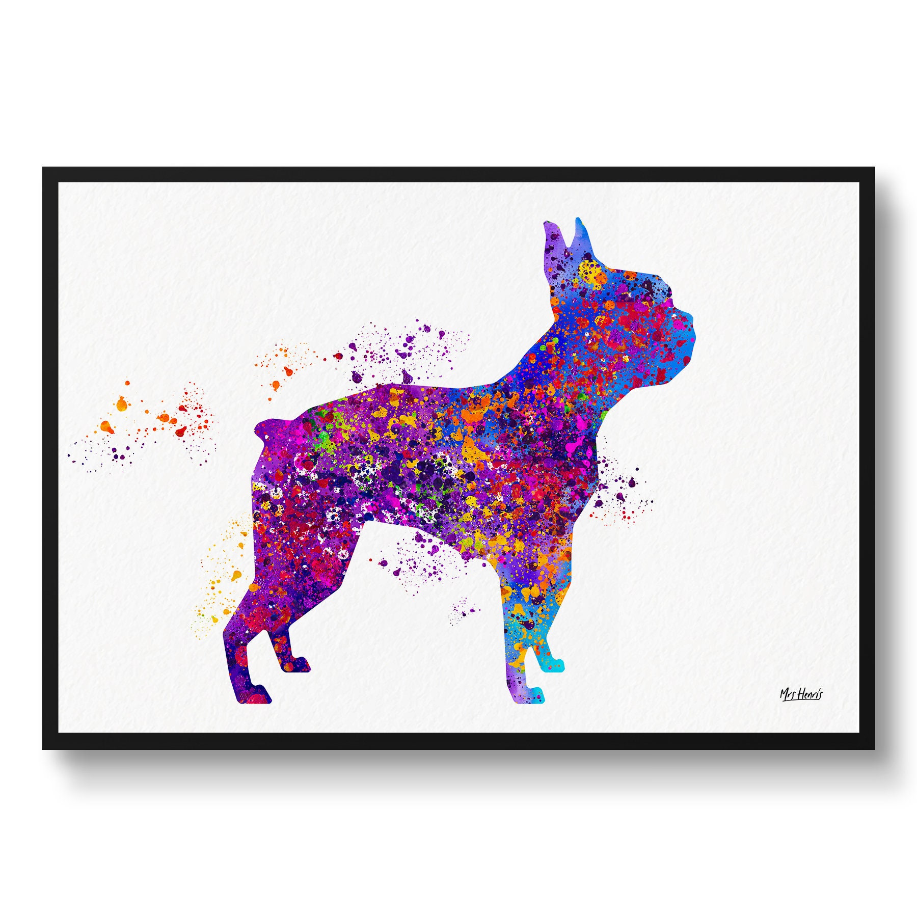 Boston Terrier Watercolour Dog Print - Veterinary Decor Gift Illustration Framed & Unframed Wall Art For Lovers & Vets