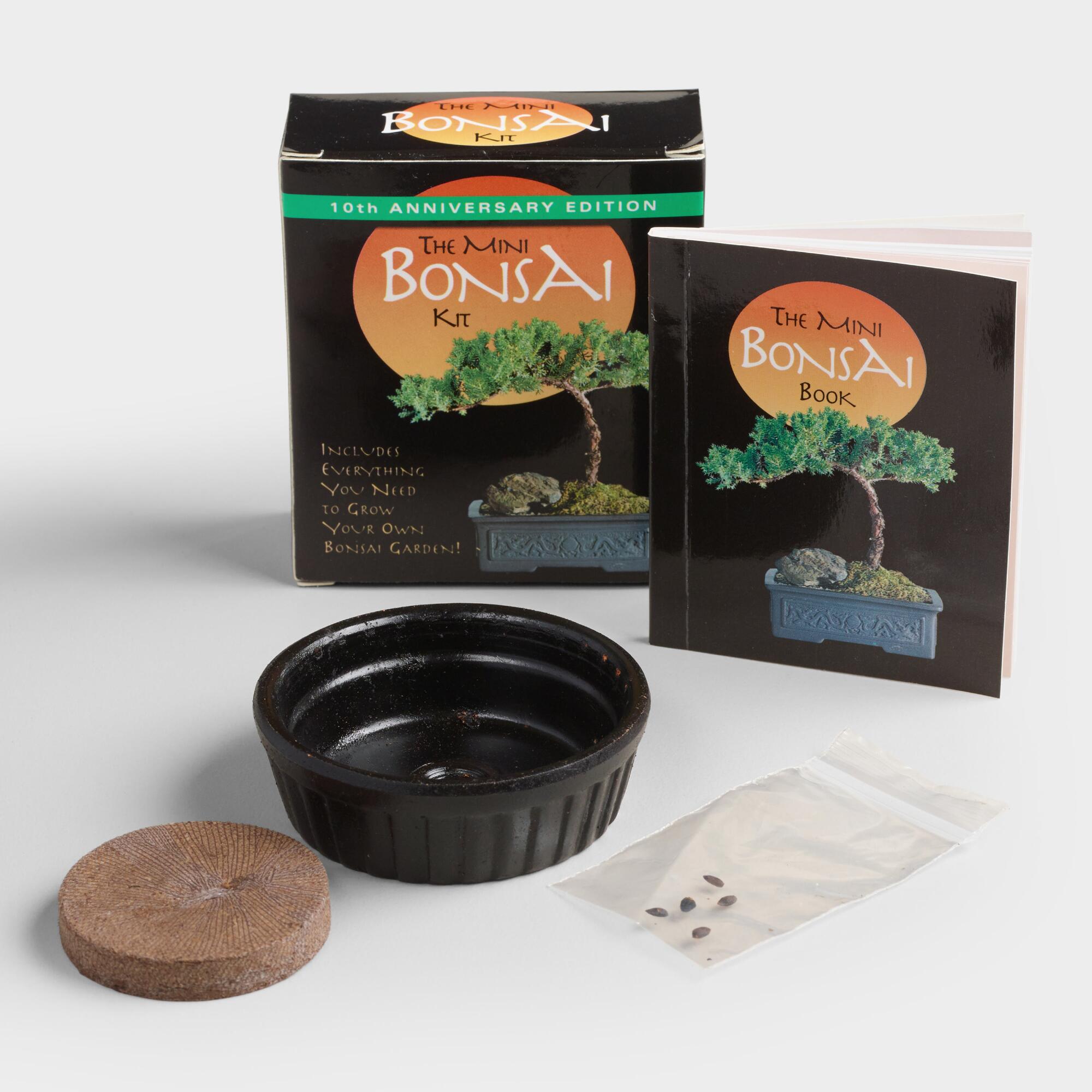 Mini Bonsai Kit: Black by World Market