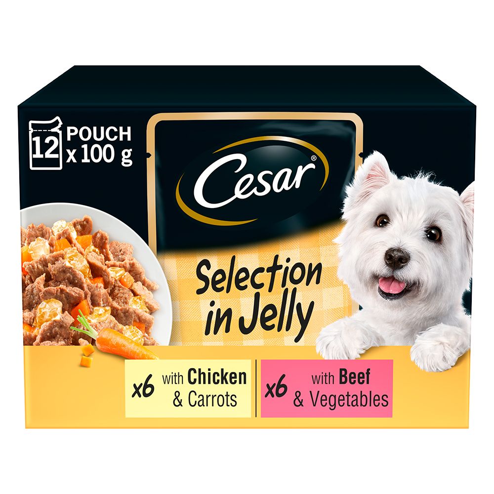 Cesar Pouches Deliciously Fresh Selection in Jelly Saver Packs - 48 x 100g
