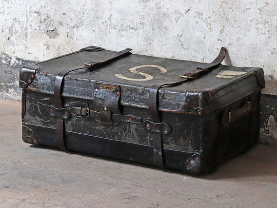 buy Black Travel Trunk Black online 