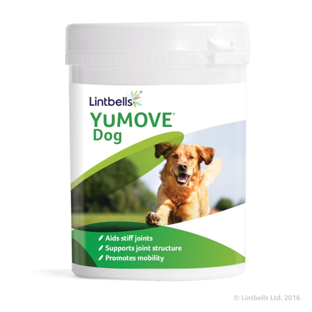 Lintbells YuMOVE Joint Supplement for Dogs - 300 Tablets