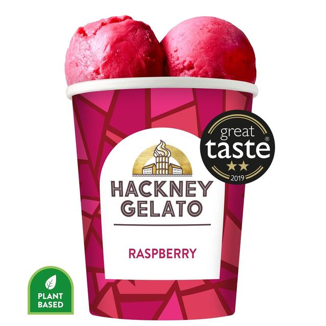 Hackney Gelato Raspberry Sorbetto
