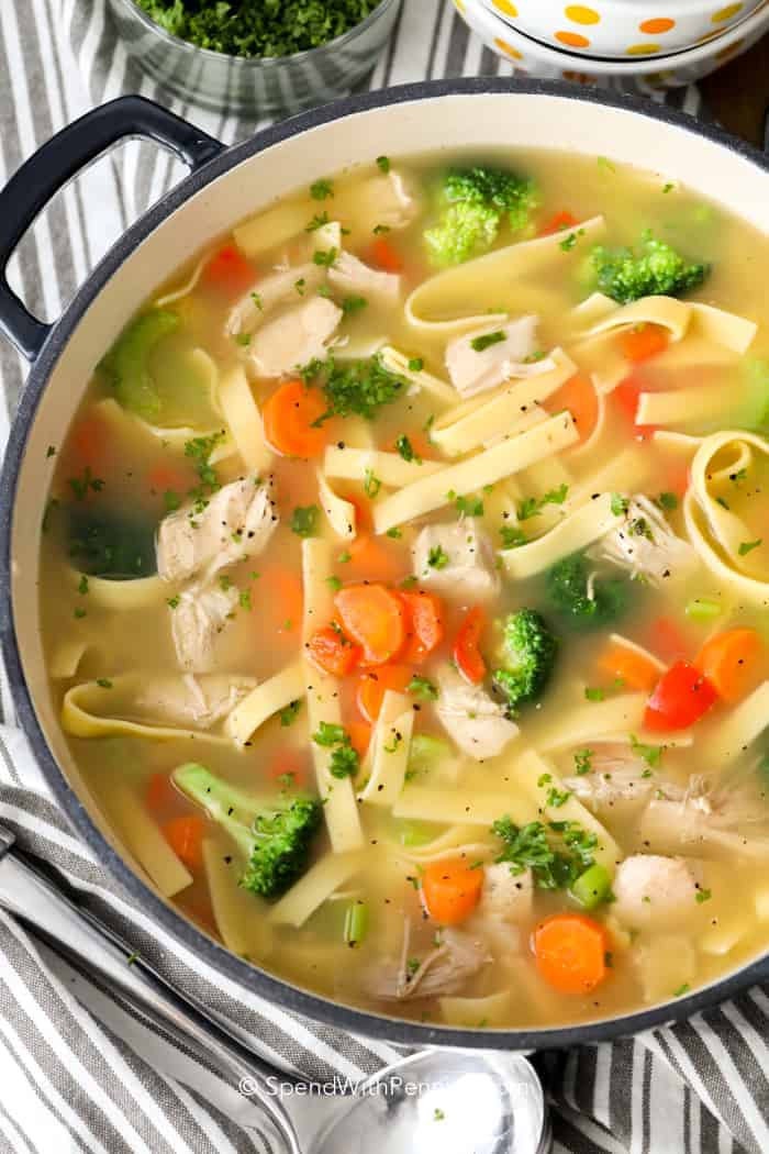 Homestyle Chicken & Noodle Soup Mix