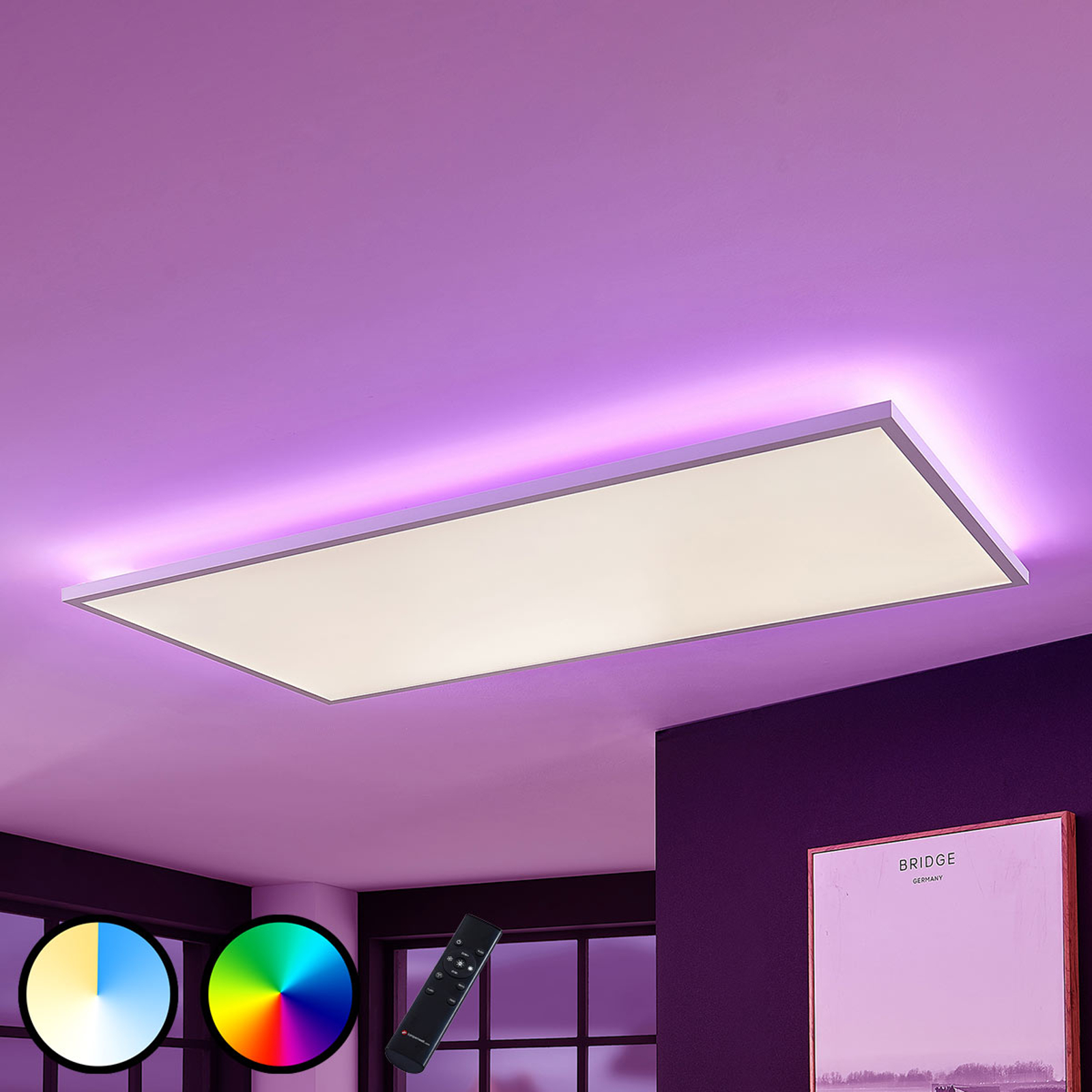 LED-Lichtleiste (Länge 910 mm) - rechts innen - Kühlvitrine mit  Leuchtpaneel 2-türig 233795 - Horeca Parts