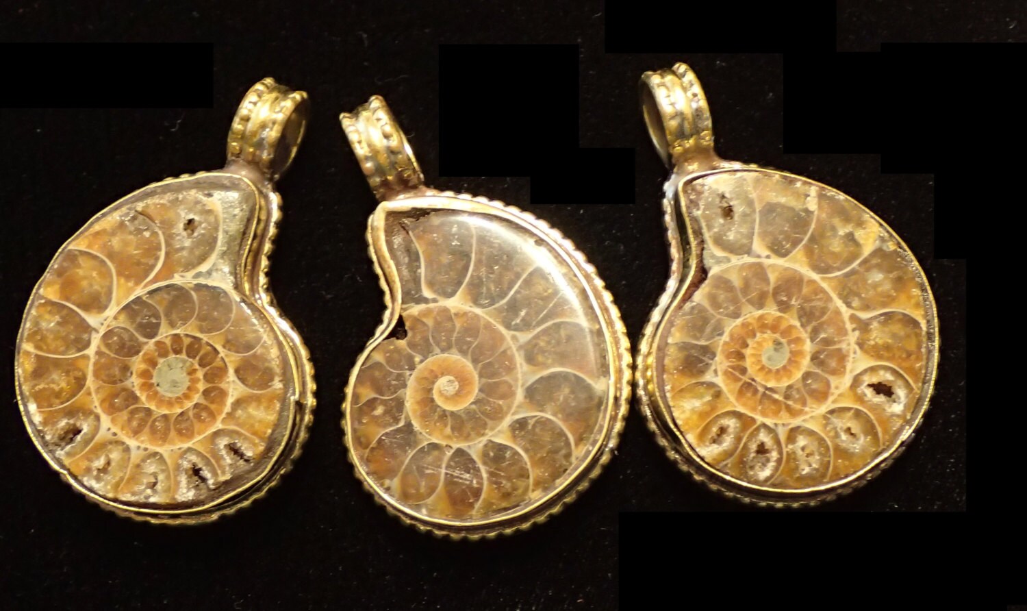 Fossil Ammonite Pendant in Brass