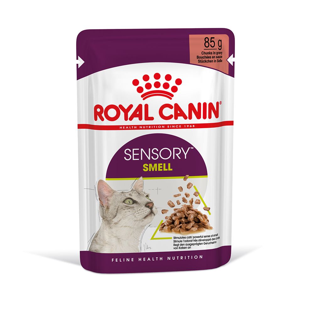Royal Canin Sensory Smell in Gravy - Saver Pack: 48 x 85g