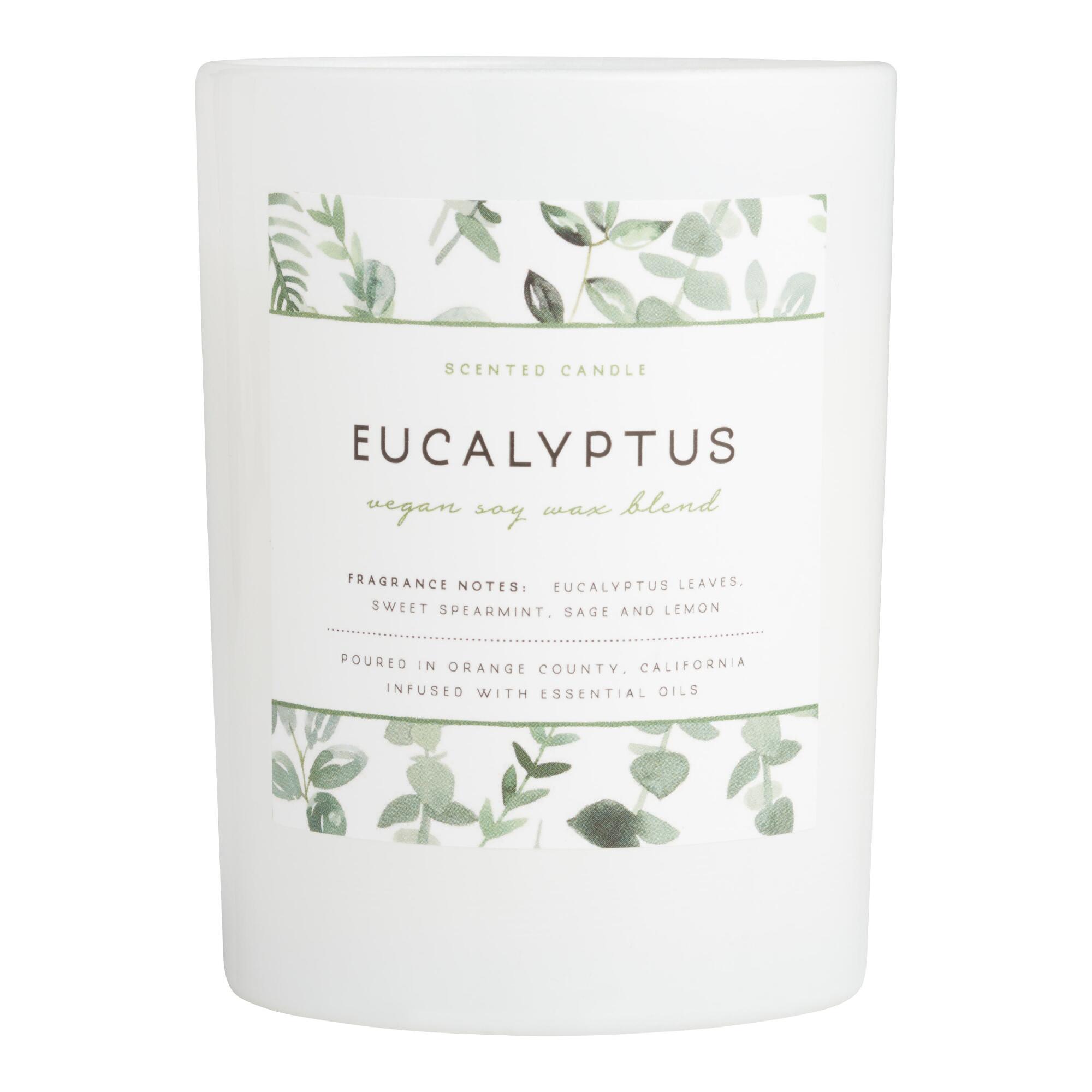 Eucalyptus Frosted Glass Filled Jar Candle: White by World Market