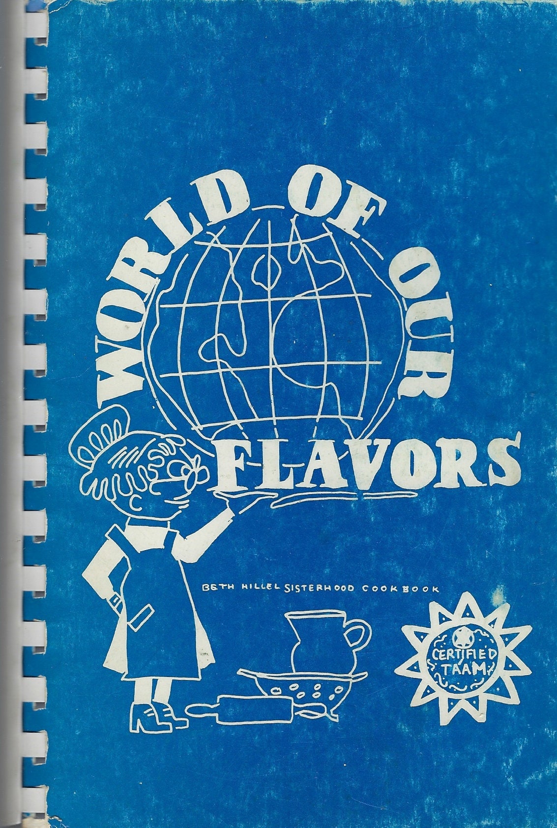 Wilmette Illinois Vintage 1978 Beth Hillel Sisterhood World Of Our Flavors Cookbook Ethnic Jewish Kosher Kashruth Passover Recipes Rare