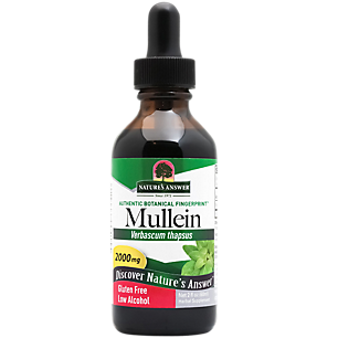 Mullein - Low Alcohol - 2,000 MG Per Serving (2 fl oz)