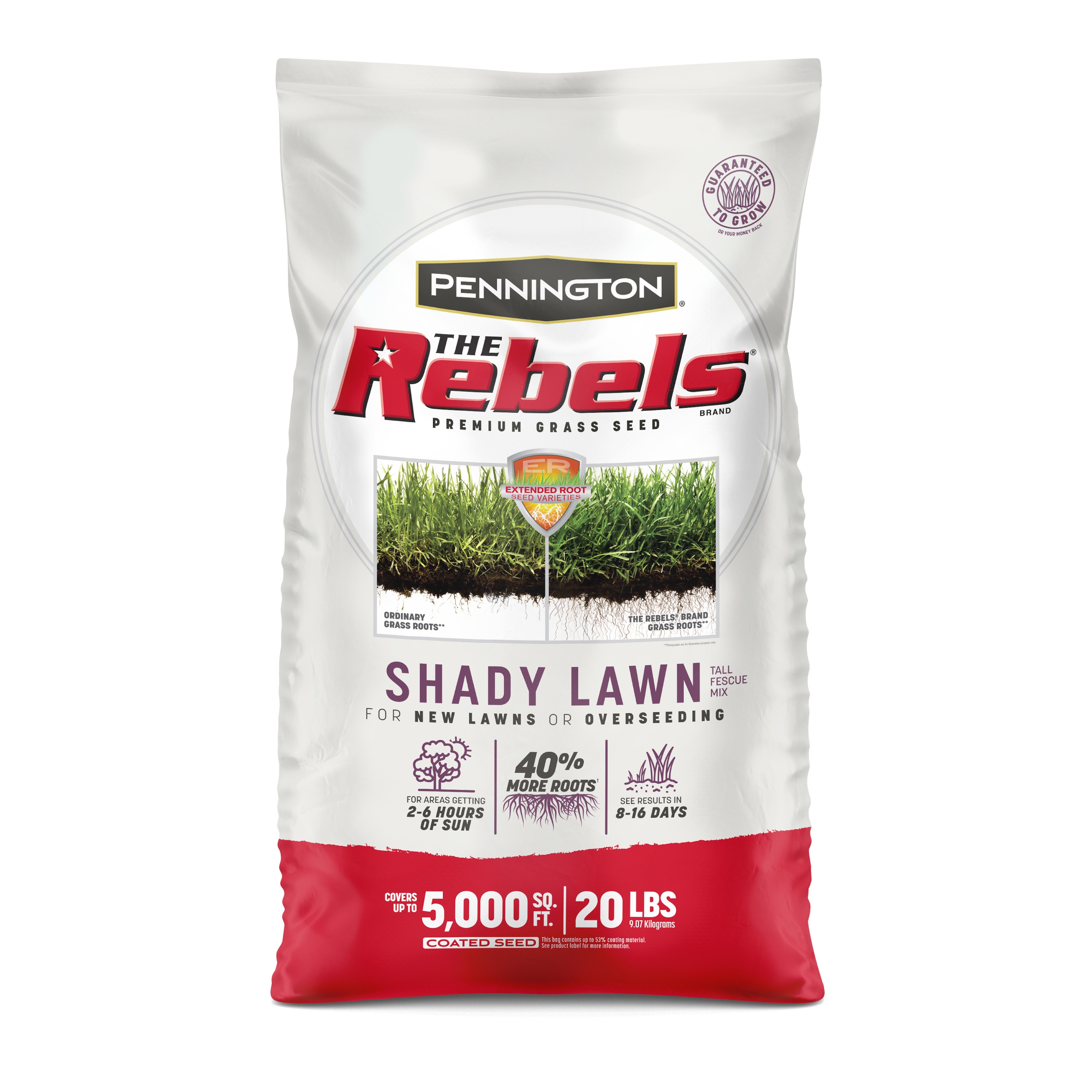 Pennington The Rebels 20-lb Mixture/Blend Grass Seed | 2149602286