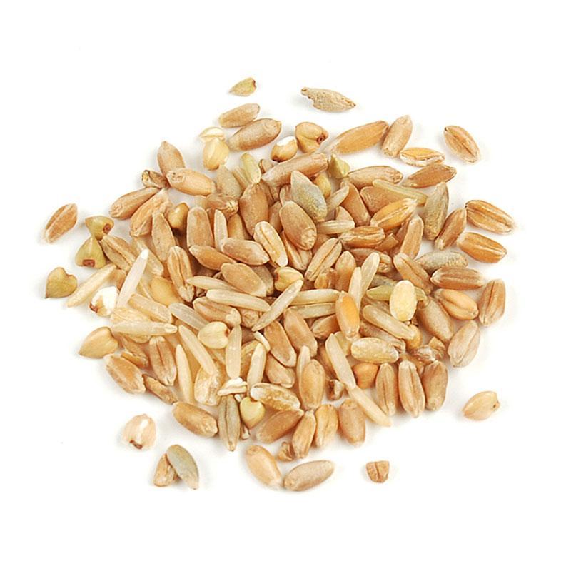 Grain Blend: Seven Grain