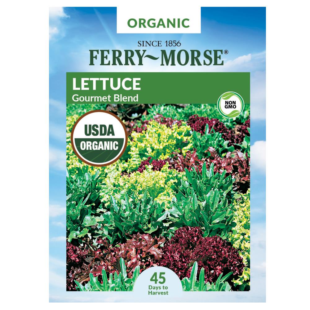 Ferry-Morse 1.8 Gram(s) Lettuce Gourmet Blend Vegetable (Seed Packet) | 465072.249.907978