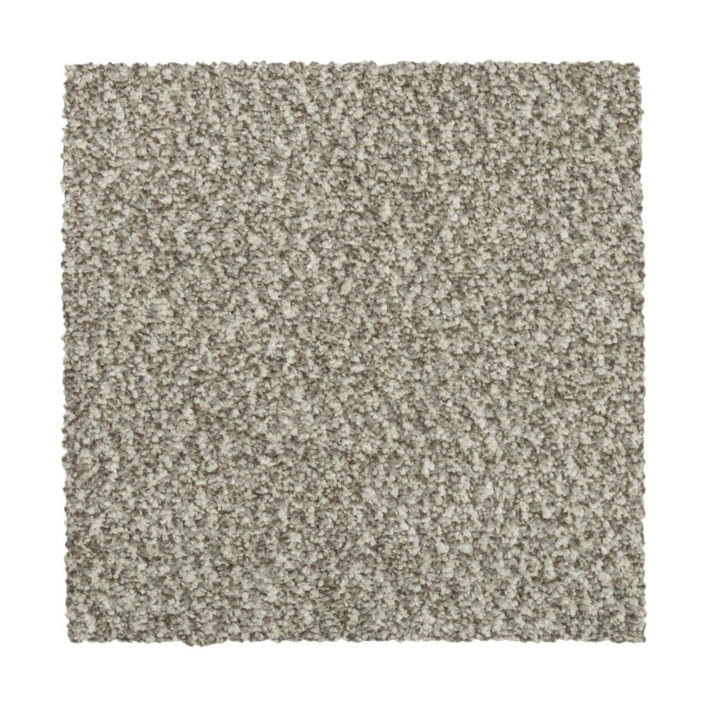STAINMASTER Vibrant blend II Nomad Carpet Sample Polyester in Brown | STP33-L004-0808
