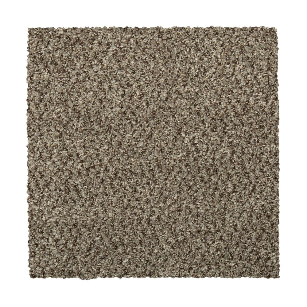 STAINMASTER Vibrant blend II Sequoia Carpet Sample Polyester in Brown | STP33-L009-0808