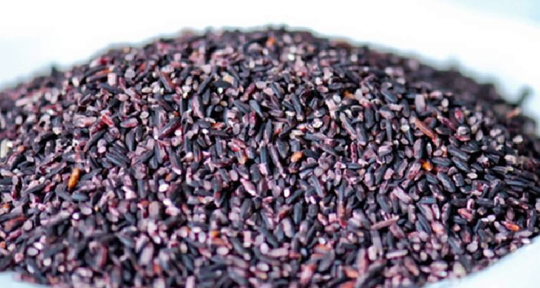 Sprouting Purple Rice Buy Purple Rice 400 Seeds Forbidden Nutty Flavor Easy To Grow Organic ...