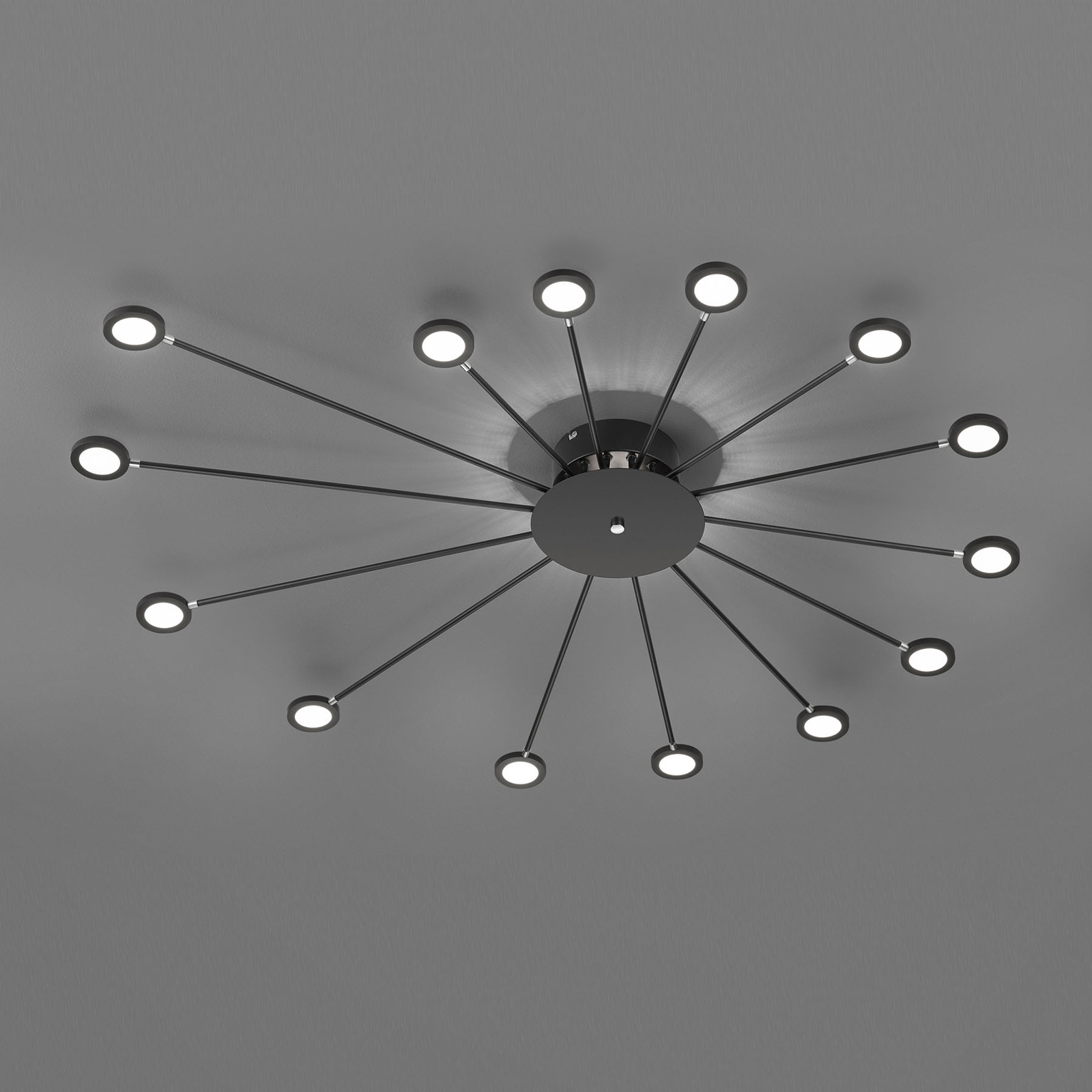 LED-kattovalaisin Peacock, 15-lamppuinen, musta