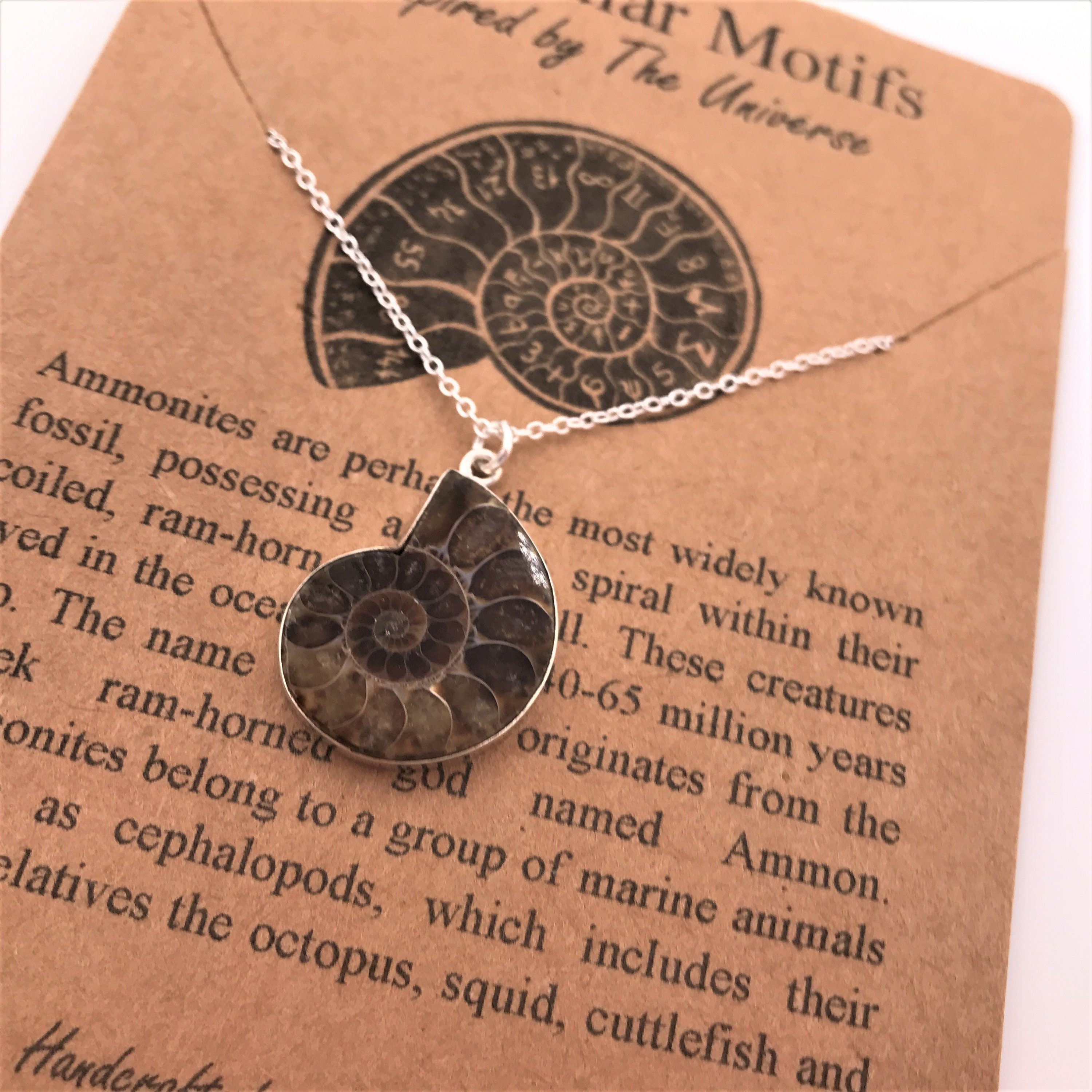 Ammonite Sterling Silver Pendant Necklace-Golden Ratio in Nature-Nautilus Fossil Science Gift-Ooak