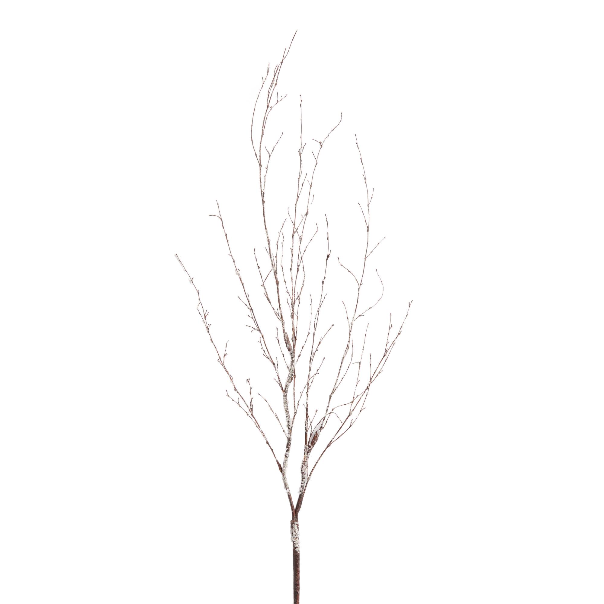 Pier Place Frosted Bamboo Branch Decor: Brown/Green/White by World Market