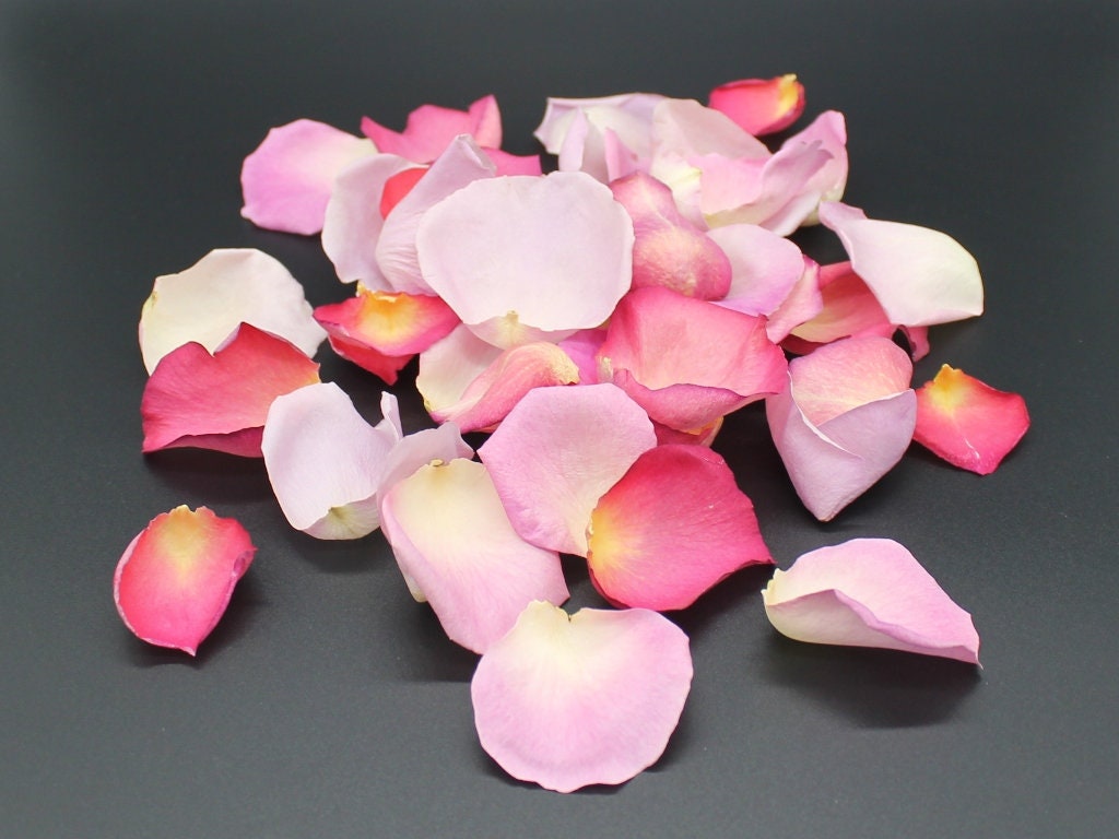 Rose Petals, Raspberry Splash Blend, Real Freeze Dried Rose Petals, Perfectly Preserved