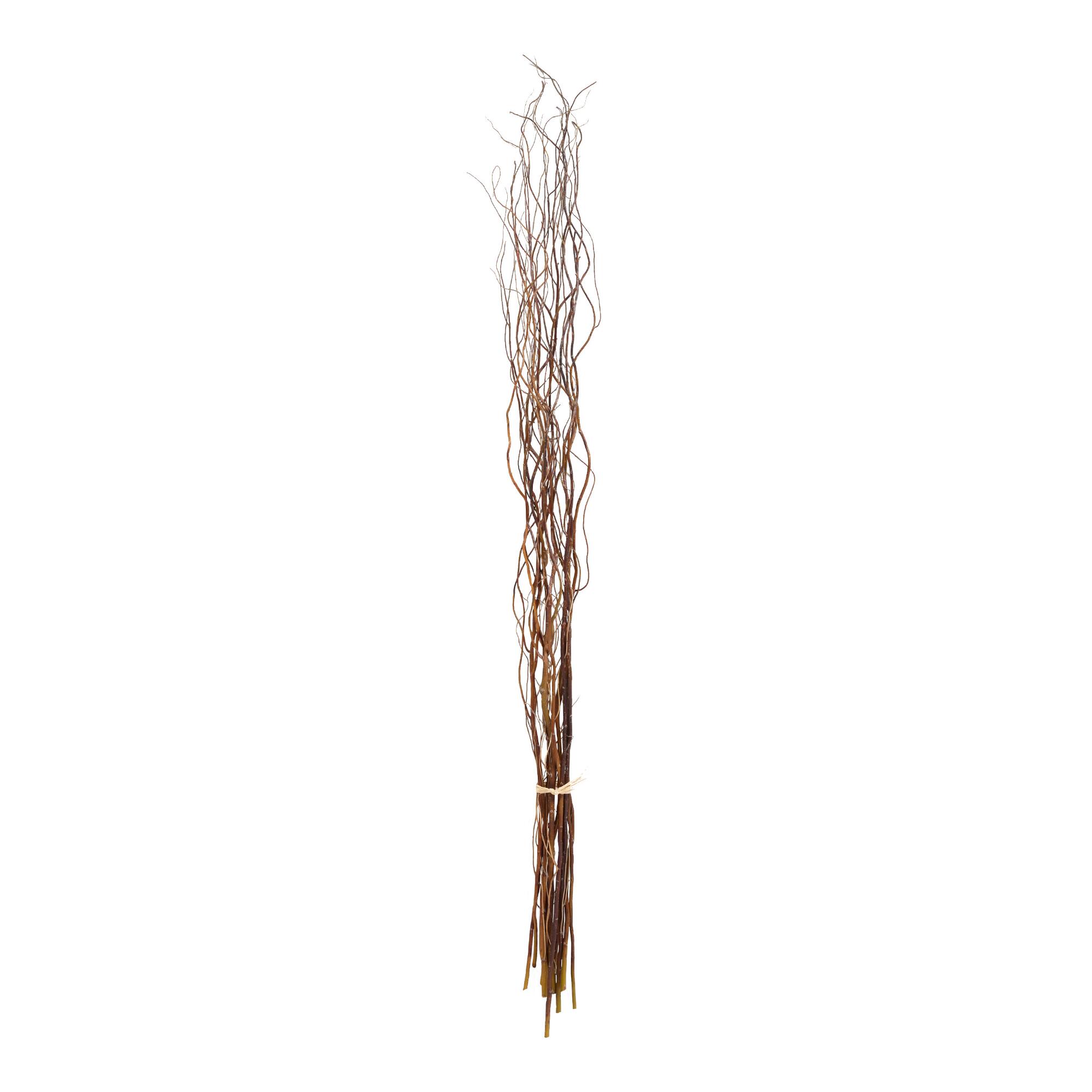 Curly Willow Stems Set of 10 by World Market