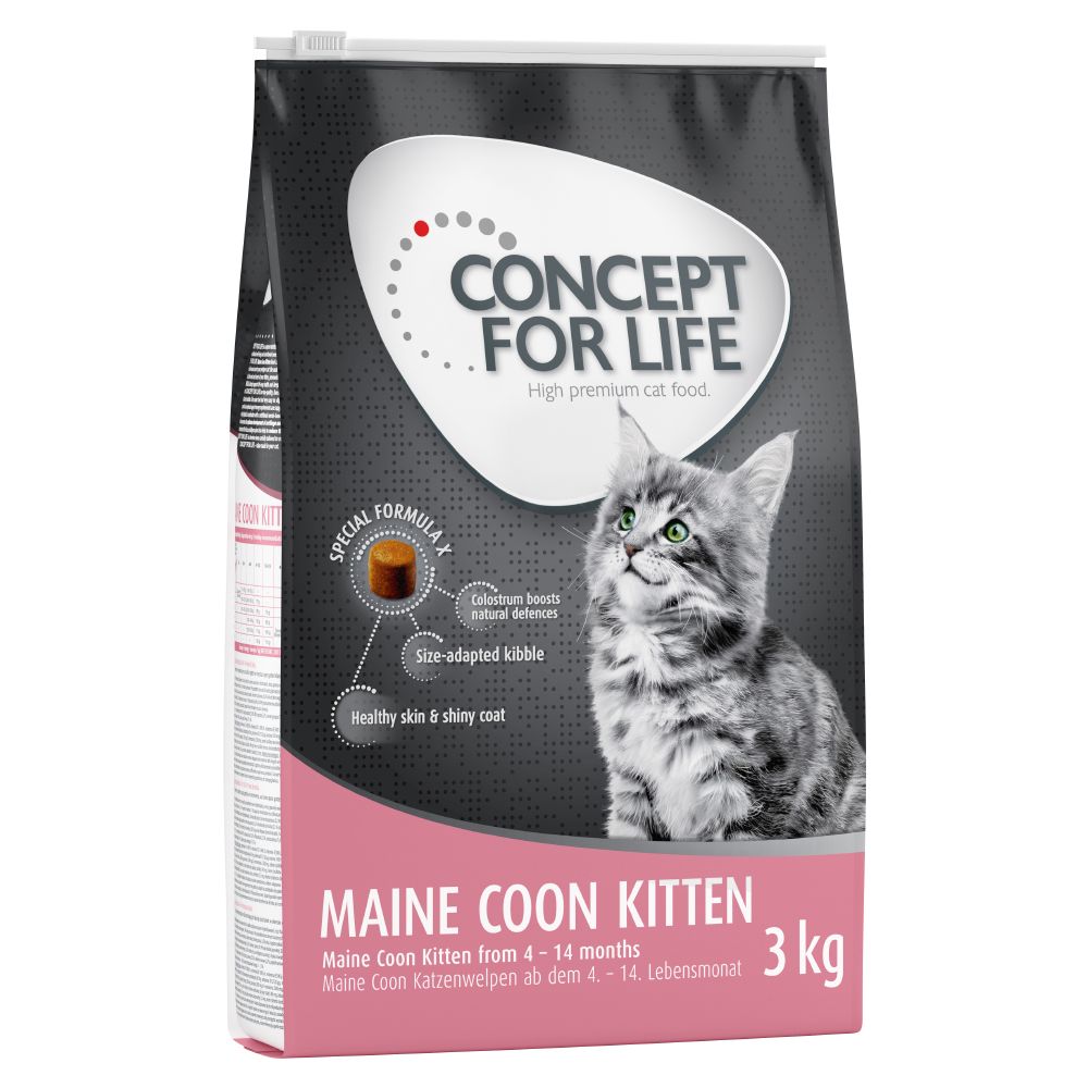 Concept for Life Maine Coon Kitten - 10kg