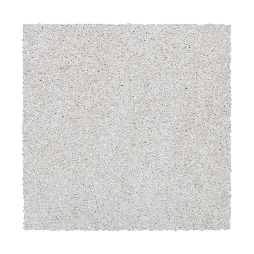 STAINMASTER Vibrant Blend I WHIRLWIND Carpet Sample Polyester in Brown | STP32-L005-0808