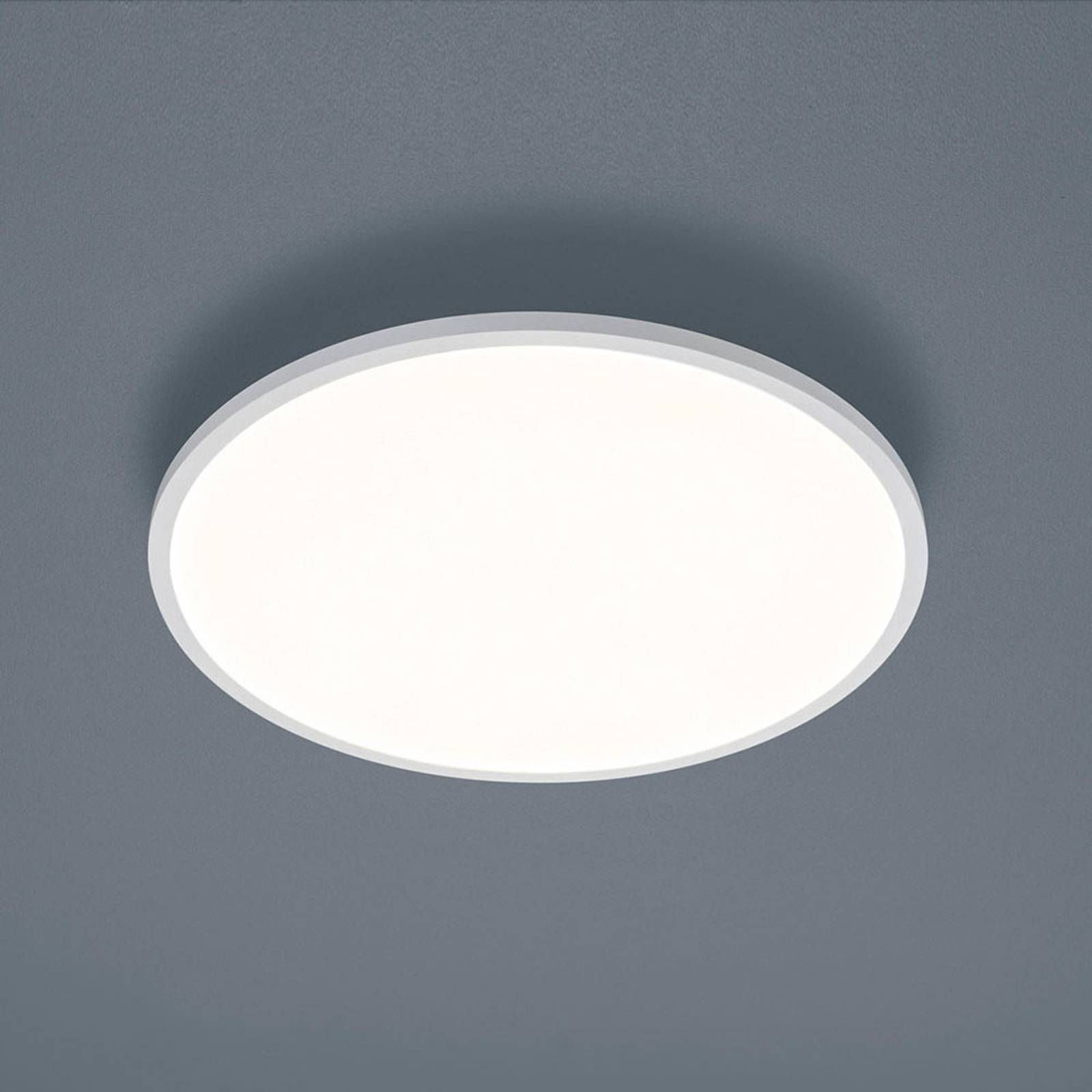 Helestra Rack -LED-kattovalaisin pyöreä valkoinen